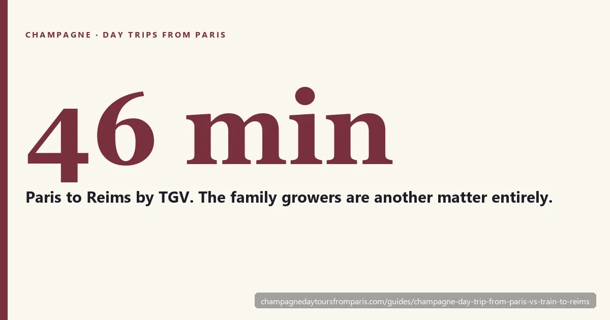 A TGV platform sign at a French station beside rows of Champagne vines, illustrating the choice between train and guided tour