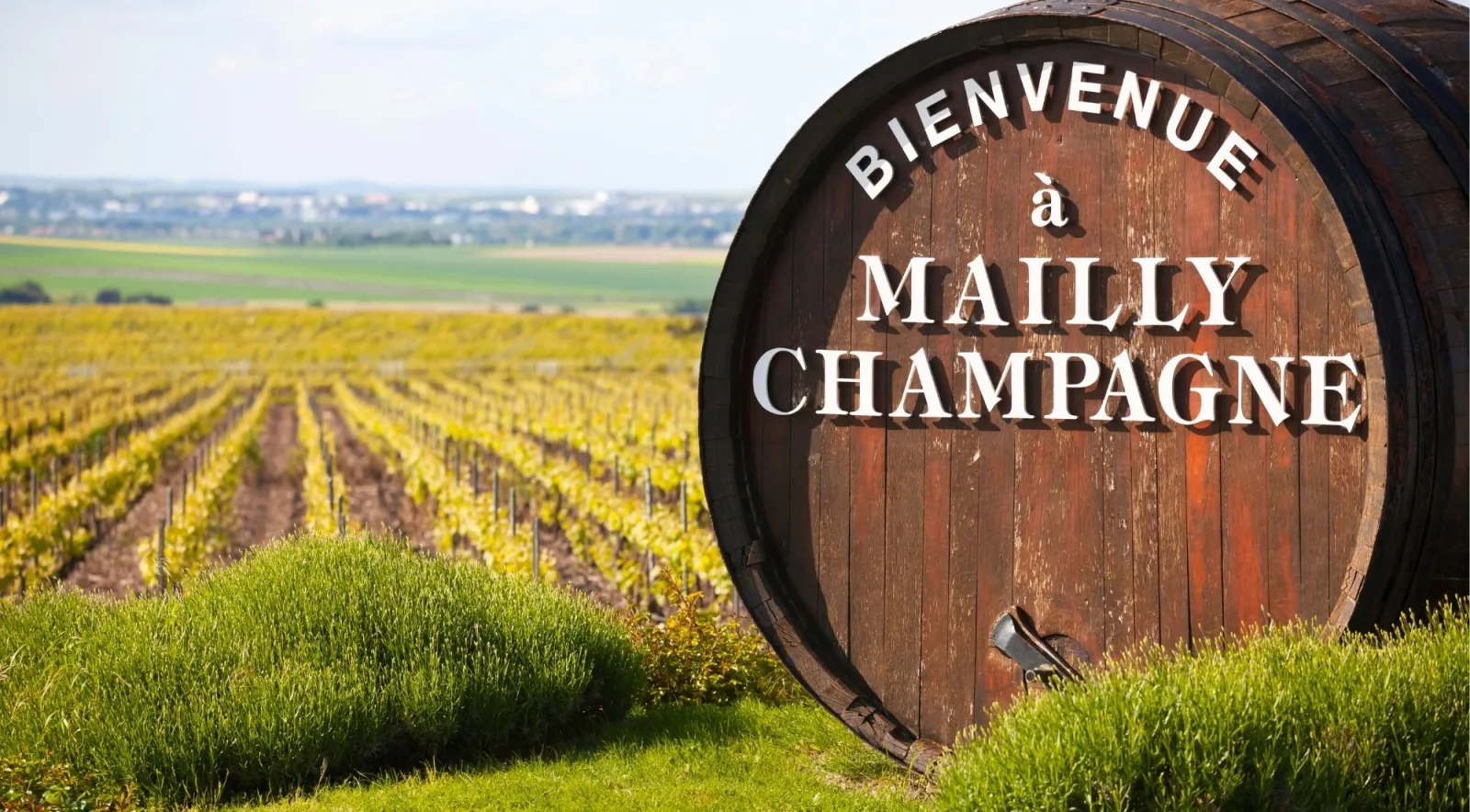 A large wooden cask painted Bienvenue à Mailly Champagne standing at the edge of a vineyard