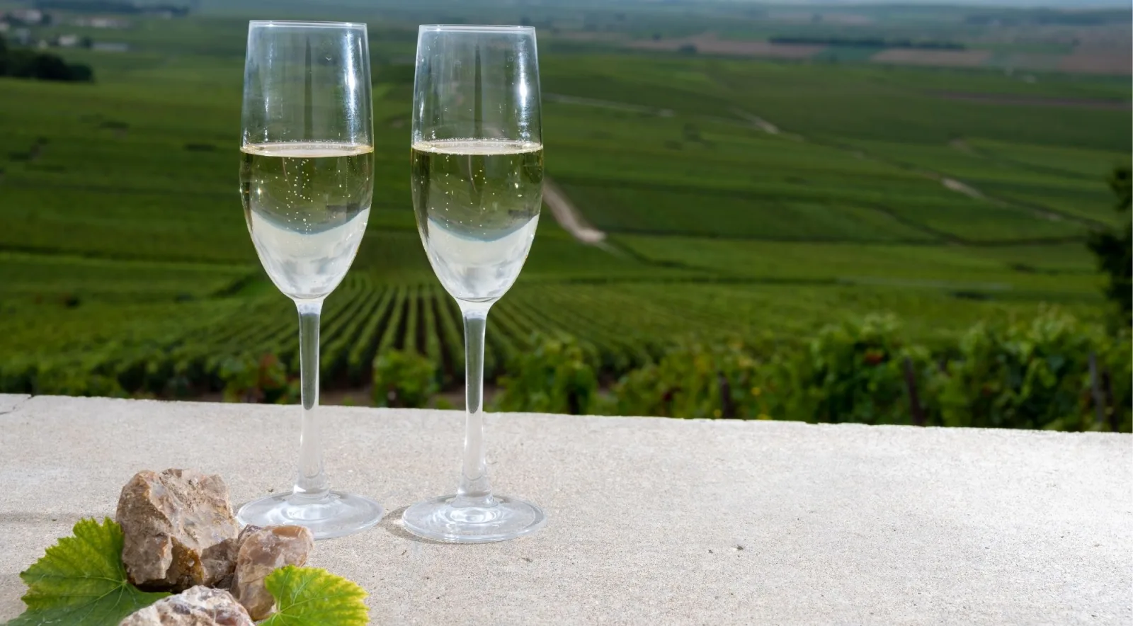 Two full Champagne flutes on a stone ledge overlooking a green vineyard slope