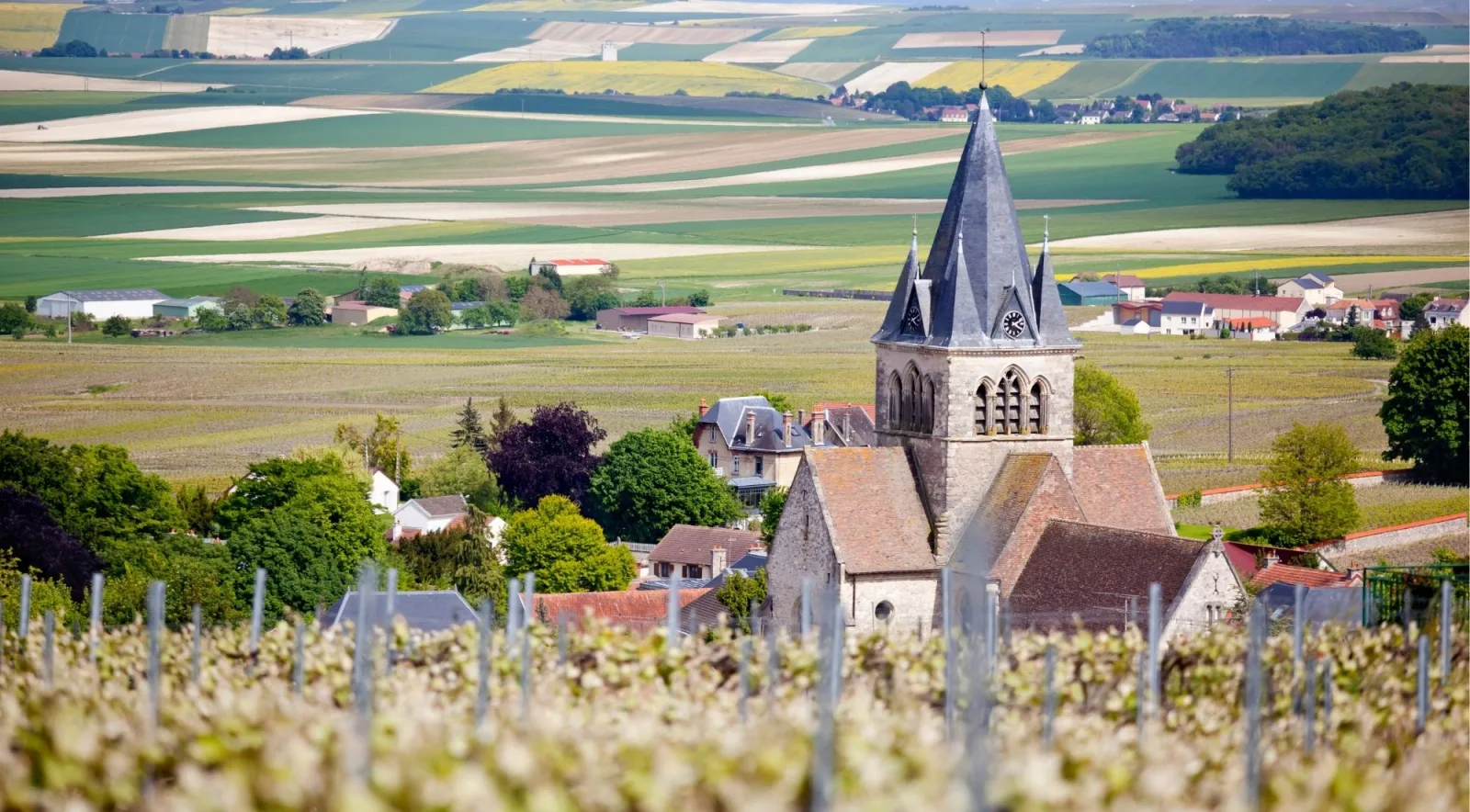 A village church spire rising above vineyard rows, with the patchwork farmland of the Marne valley behind