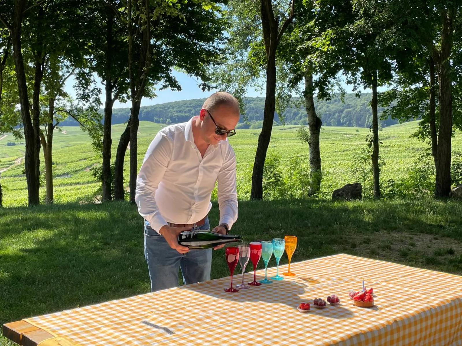 Paris: Private Champagne Day Trip with Pickup & Tastings