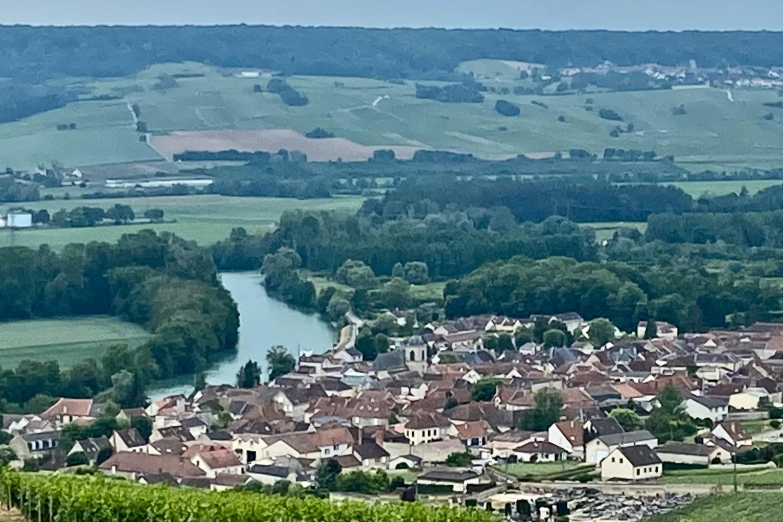 The Marne winding past a village, seen from the vineyard slopes above Hautvillers