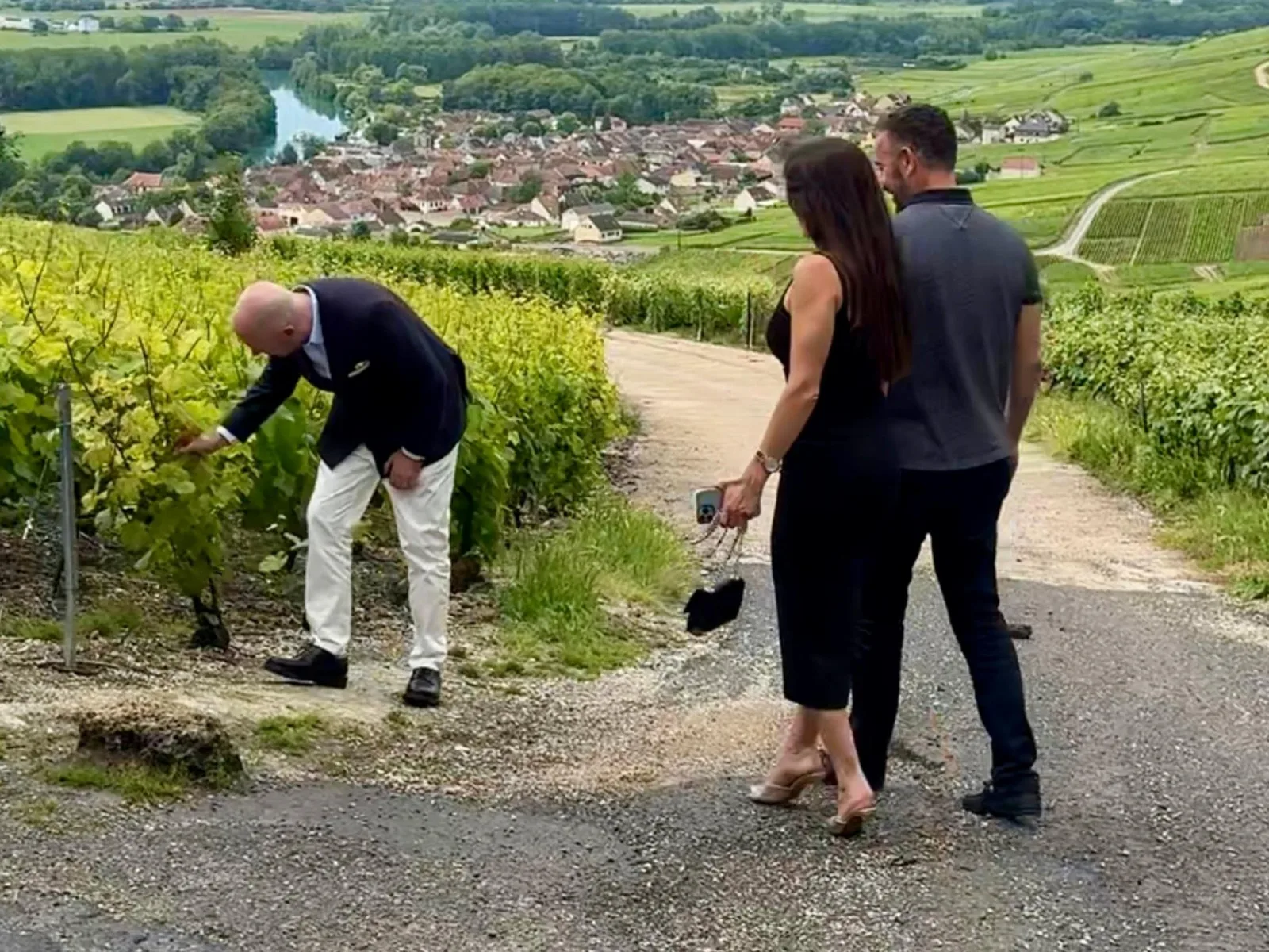 A grower crouching to show a vine to two guests on a track between the rows