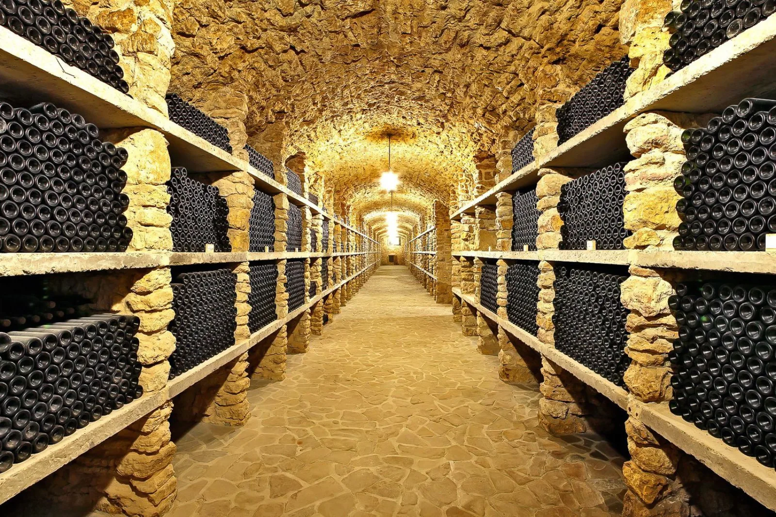 From Paris: Small-Group Champagne Day Trip with Six Tastings