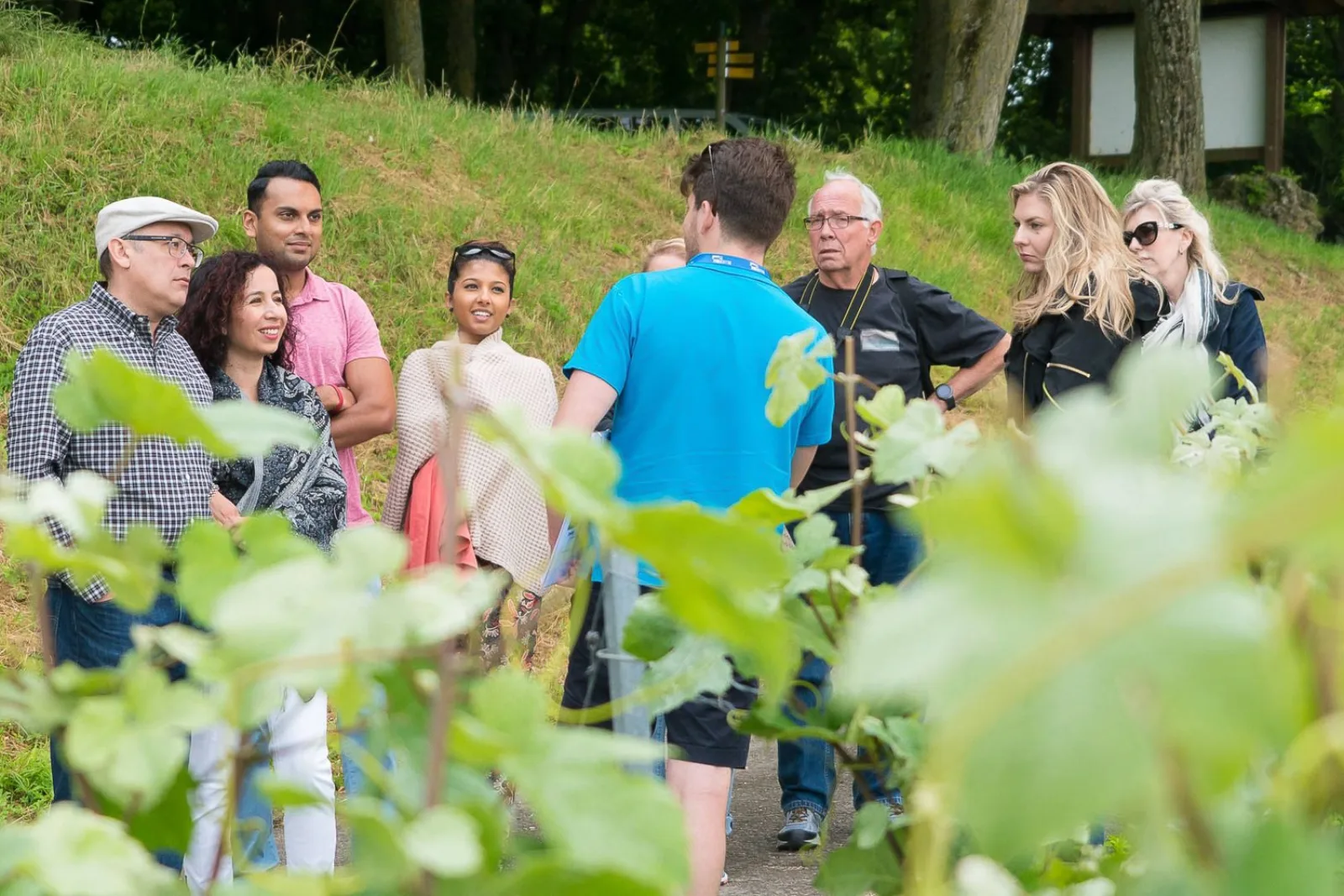 The group standing among the vines while the guide talks about the growing season