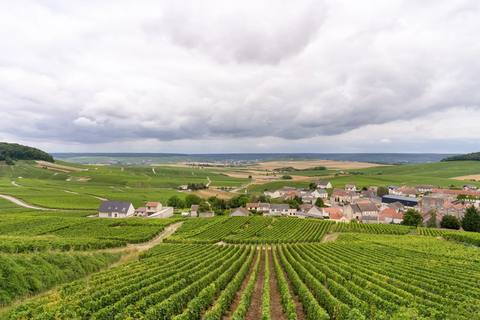 Vineyard rows sweeping down to a Champagne village under a heavy grey sky