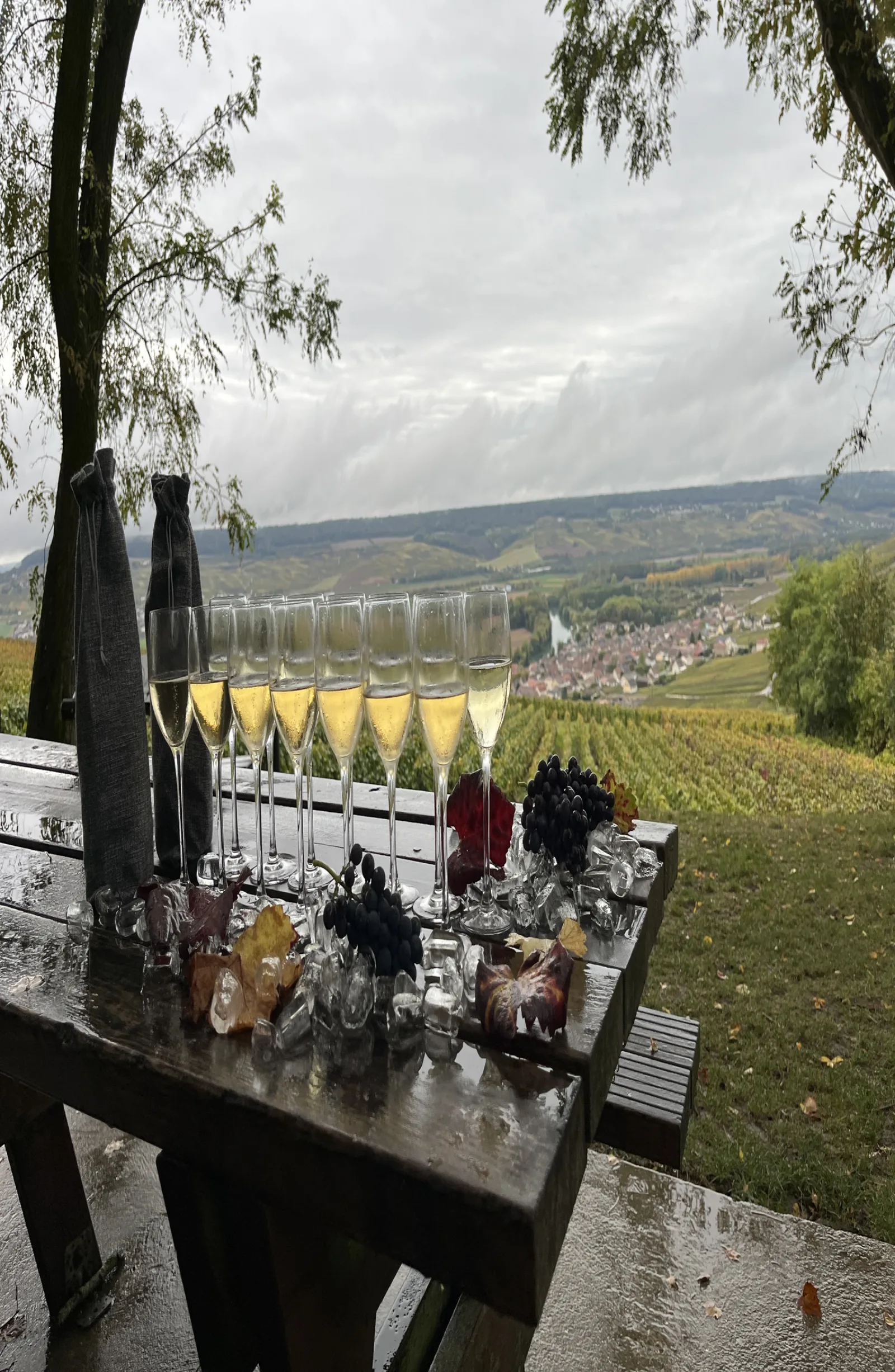 A row of filled Champagne flutes on a table set up at a vineyard viewpoint
