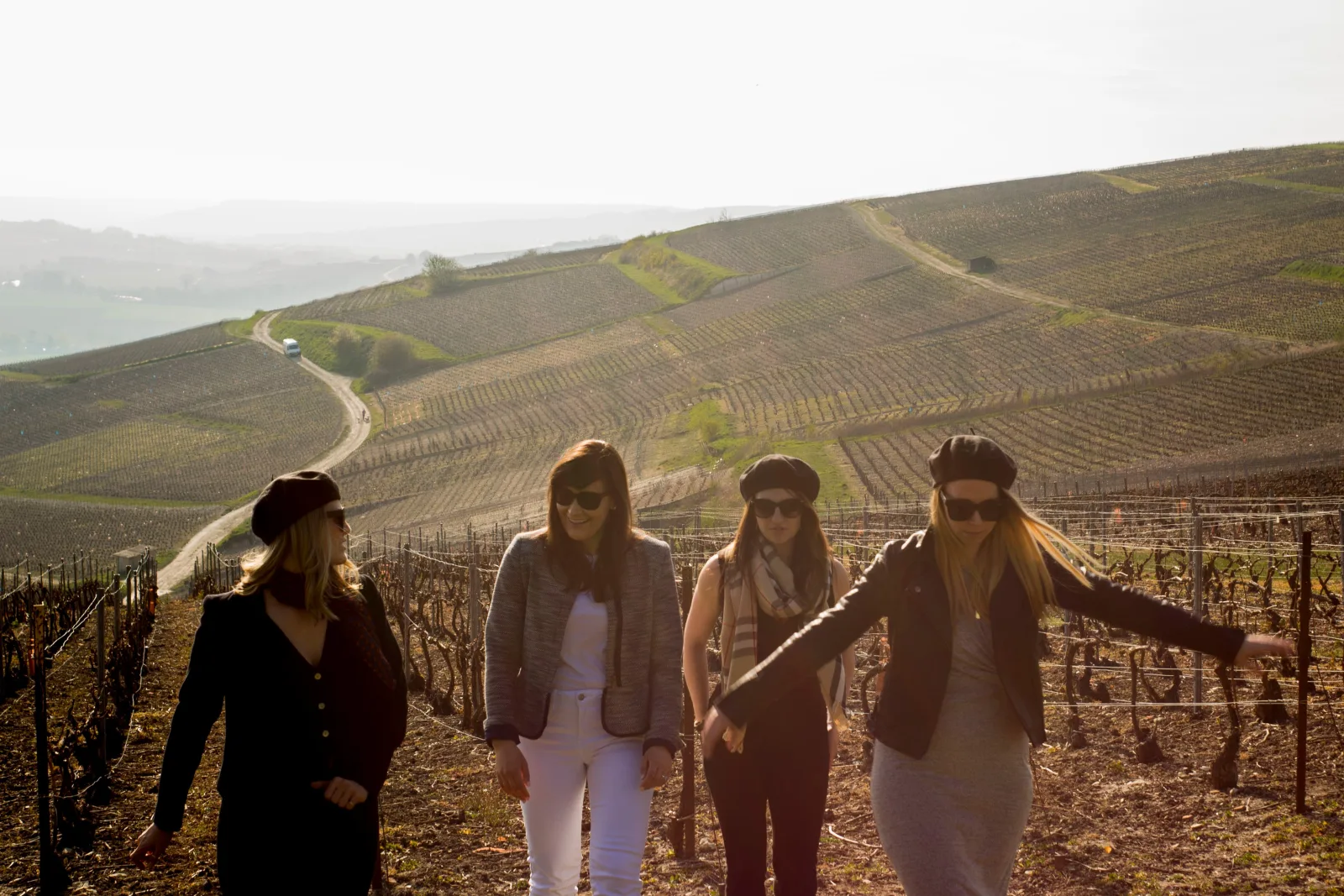 Four guests walking through winter vine rows on a hillside above the valley