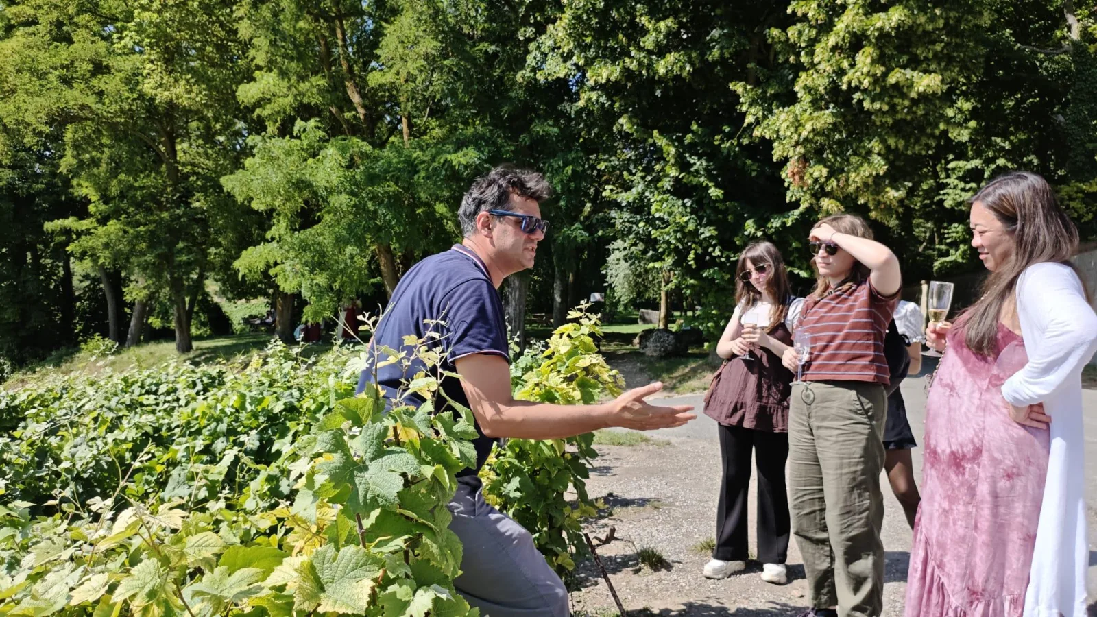 A guide gesturing at a vine while the group listens on a path beside the rows